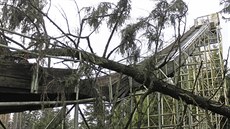 Při vichřici na konci října 2017 spadl na větší z novoměstských skokanských... Při vichřici na konci října 2017 spadl na větší z novoměstských skokanských...