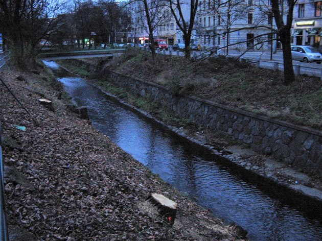 Kácení strom u Botie