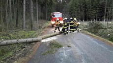 Hasiči na Olomoucku odstraňují popadané stromy (11.12.2017) Hasiči na Olomoucku odstraňují popadané stromy (11.12.2017)