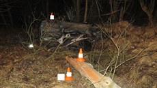 Řidička vyjela ze silnice a auto skončilo mezi stromy. Nehoda se stala mezi... Řidička vyjela ze silnice a auto skončilo mezi stromy. Nehoda se stala mezi...