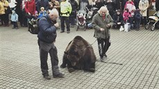 Vystoupení medvěda na Kubánském náměstí. Vystoupení medvěda na Kubánském náměstí.