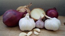 Cibule a česnek jsou oprávněně považovány za přírodní antibiotika. Cibule a česnek jsou oprávněně považovány za přírodní antibiotika.