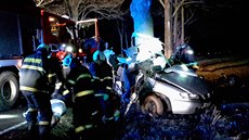 Při nárazu do stromu zemřeli na Českobudějovicku dva mladí muži (23. prosince... Při nárazu do stromu zemřeli na Českobudějovicku dva mladí muži (23. prosince...
