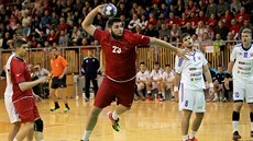 Český pivot Leoš Petrovský zakončuje v utkání proti Slovensku. Český pivot Leoš Petrovský zakončuje v utkání proti Slovensku.