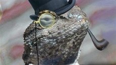 Maskot hackerské skupiny Lizzard Squad Maskot hackerské skupiny Lizzard Squad