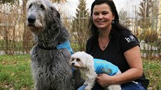 Hana Novotná, která se věnuje canisterapii, se svými čtyřnohými pomocníky. Hana Novotná, která se věnuje canisterapii, se svými čtyřnohými pomocníky.