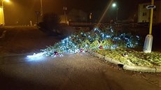 Pokácený vánoční strom ve Velkém Březně. Pokácený vánoční strom ve Velkém Březně.