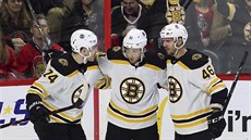 Hokejisté Bostonu oslavují branku Ryana Spoonera (uprostřed). Vlevo je Jake... Hokejisté Bostonu oslavují branku Ryana Spoonera (uprostřed). Vlevo je Jake...