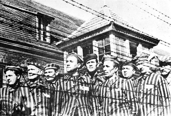 Vtina obt byla zavradna v plynovch komorch arelu Auschwitz II plynem...