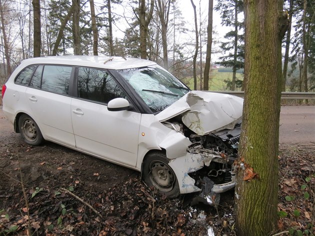 idika se lekla pavouka s strhla auto do stromu.