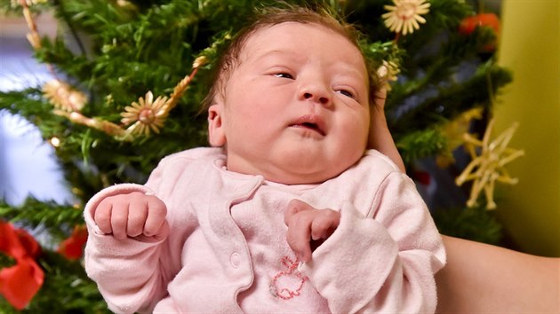 Prvnm dttem narozenm v roce 2018 v Praze je Elika Kaparov (na snmku z 1. ledna 2018). Narodila se dv minuty po plnoci v porodnici Fakultn nemocnice Motol.