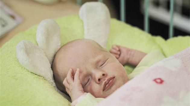 V plzesk fakultn nemocnici se po dvou letech narodila trojata. Jmenuj se Ella, Emma a Anna.  (4. 1. 2018)