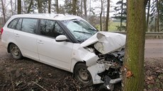Řidička se lekla pavouka s strhla auto do stromu. Řidička se lekla pavouka s strhla auto do stromu.