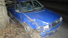 Opilý řidič havaroval nedaleko obce Valy na Mariánskolázeňsku. Opilý řidič havaroval nedaleko obce Valy na Mariánskolázeňsku.