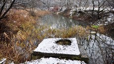 Z původního vybavení lágru Janowska se nedochovalo nic, nacisté tábor před... Z původního vybavení lágru Janowska se nedochovalo nic, nacisté tábor před...