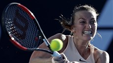S VERVOU. Petra Kvitová v prvním kole Australian Open. S VERVOU. Petra Kvitová v prvním kole Australian Open.