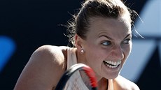 JAKO DRAVEC. Petra Kvitová v prvním kole Australian Open.