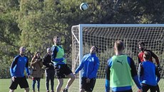 Plzeňští fotbalisté trénují ve španělské Andalusii. Plzeňští fotbalisté trénují ve španělské Andalusii.