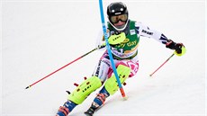Česká lyžařka Gabriela Capová na trati slalomu v Kranjské Goře. Česká lyžařka Gabriela Capová na trati slalomu v Kranjské Goře.