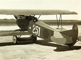 Fokker D.VII, Holandsko