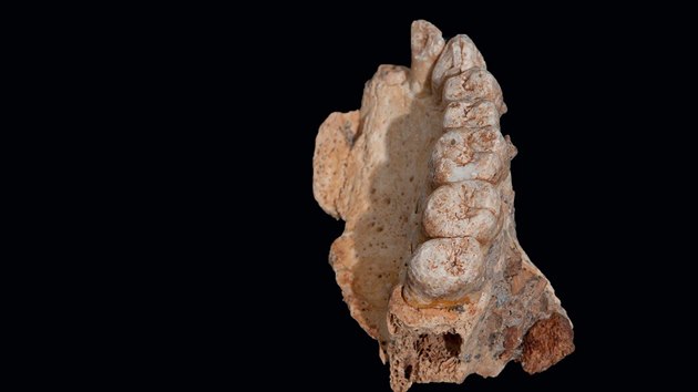 Izraelt archeologov objevili v jeskyni Misliya na severu zem lomek lidsk elisti star nejmn 170 tisc let. (25. ledna 2018)