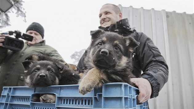 Budouc policejn posily. Psovodi z Rokycan hledaj pro sedm tat jmna. (22. 1. 2018)