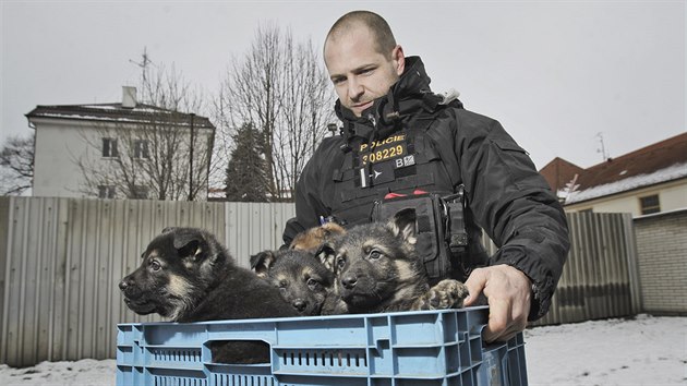 Budouc policejn posily. Psovodi z Rokycan hledaj pro sedm tat jmna. (22. 1. 2018)