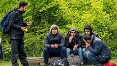 Žadatelé o azyl v oblasti okolo Calais a Dunkerku žijí v lesích v... Žadatelé o azyl v oblasti okolo Calais a Dunkerku žijí v lesích v...