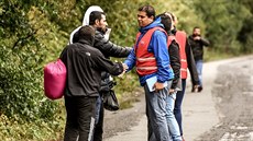 adatelé o azyl v oblasti okolo Calais a Dunkerku ijí v lesích v...