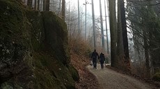 Řada lesních cest kolem Lidových sadů v Liberci je ve špatném stavu. Řada lesních cest kolem Lidových sadů v Liberci je ve špatném stavu.