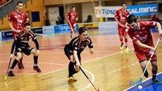 Momentka z utkání Bulldogs Brno - Střešovice Momentka z utkání Bulldogs Brno - Střešovice