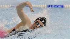 Tereza Horáková je momentálně nejúspěšnější jihlavskou plavkyní. V loňském roce... Tereza Horáková je momentálně nejúspěšnější jihlavskou plavkyní. V loňském roce...