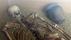 Kostra ze slovanského pohřebiště u Olšan u Prostějova datovaného do 11.... Kostra ze slovanského pohřebiště u Olšan u Prostějova datovaného do 11....