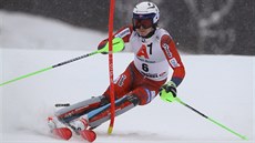 Norský lyžař Henrik Kristoffersen na trati slalomu v Kitzbühelu Norský lyžař Henrik Kristoffersen na trati slalomu v Kitzbühelu