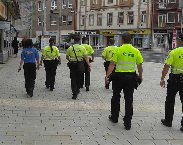 Mstská policie Pardubice. Ilustraní foto.
