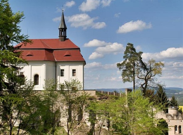 Borovice nií skalní blok, na nm stojí hrad Valdtejn.