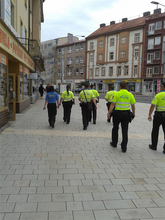 Mstská policie Pardubice. Ilustraní foto.