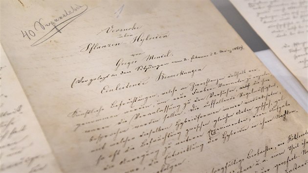 Originl rukopisu Gregora Johanna Mendela "Pokusy s rostlinnmi hybridy" z roku 1865 uloili 1. nora 2018 v Brn do speciln vitrny Mendelova muzea, v n bude trvale vystaven.