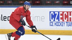 Tomáš Zohorna na tréninku české hokejové reprezentace v přípravě na olympijské... Tomáš Zohorna na tréninku české hokejové reprezentace v přípravě na olympijské...