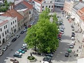 Během velké slavnosti na 1. máje v roce 1919 zasadili ve Velkém Meziříčí lípu... Během velké slavnosti na 1. máje v roce 1919 zasadili ve Velkém Meziříčí lípu...