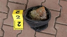 Zloděj dal do své zimní čepice cihlu a prohodil s ní výlohu benzinky. Zloděj dal do své zimní čepice cihlu a prohodil s ní výlohu benzinky.