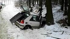 Řidička na Orlickoústecku nezvládla řízení a narazila do stromu (17. února... Řidička na Orlickoústecku nezvládla řízení a narazila do stromu (17. února...