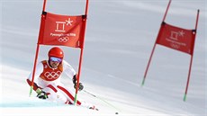 Rakouský lya Marcel Hirscher pi první jízd olympijského obího slalomu....