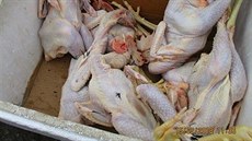 Kontrola s celníky ve Strakonicích odhalila přepravu desítek kilogramů potravin... Kontrola s celníky ve Strakonicích odhalila přepravu desítek kilogramů potravin...