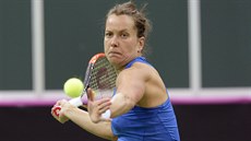DRUHÝ BOD. České tenistky se v prvním kole Fed Cup proti Švýcarsku ujaly vedení... DRUHÝ BOD. České tenistky se v prvním kole Fed Cup proti Švýcarsku ujaly vedení...