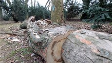 Zámek a park Slatiňany 15. 2. 2018 Zámek a park Slatiňany 15. 2. 2018