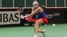 Petra Kvitová bojuje v nedlní dvouhe 1. kola Fed Cupu proti výcarsku.