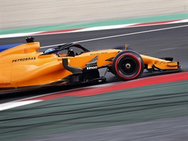 Fernando Alonso s McLarenem pi testovn ped sezonou formule 1 na okruhu v...