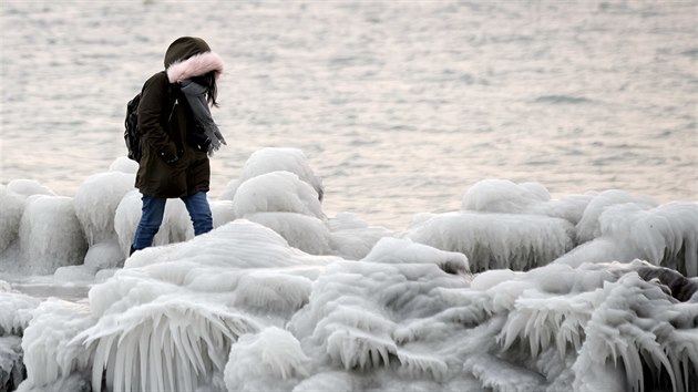 Ledov skulptury na bezch enevskho jezera (27. nora 2018)