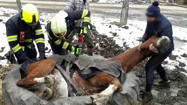 Jihomoravt hasii vyproovali kon z traktorov pneumatiky.